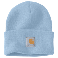 Carharrt Mütze watch hat