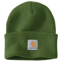 Carharrt Mütze watch hat