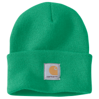 Carharrt Mütze watch hat