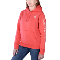 Carharrt Damen Hoodie graphic