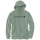 Carharrt Hoodie signature logo sweatshirt
