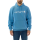 Carharrt Hoodie signature logo sweatshirt