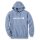 Carharrt Hoodie signature logo sweatshirt Hellblau M